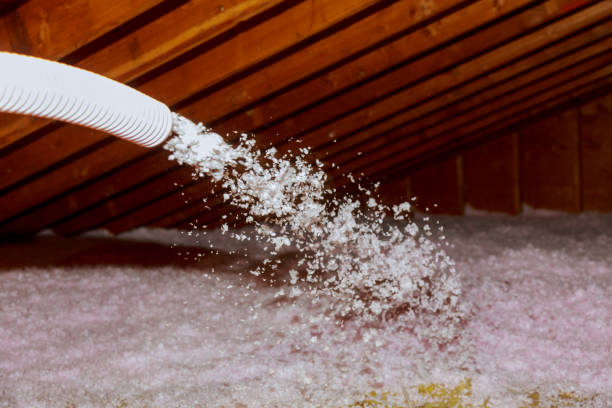 Types of Insulation We Offer in Breaux Bridge, LA