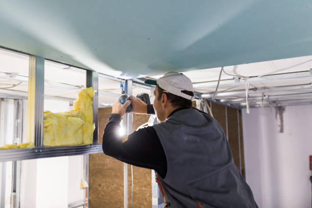 Best Insulation Maintenance and Repair in Breaux Bridge, LA