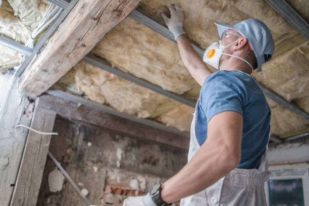 Best Eco-Friendly Insulation in Breaux Bridge, LA