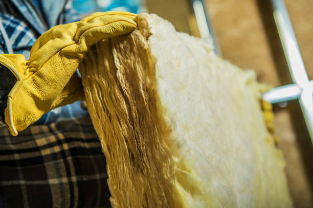 Best Specialized Insulation Services in Breaux Bridge, LA