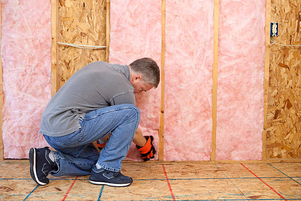 Best Residential Insulation in Breaux Bridge, LA